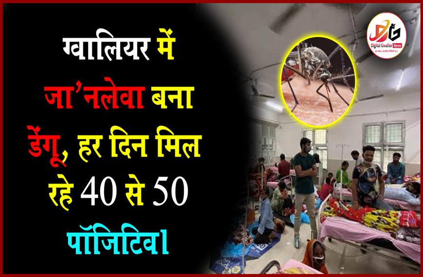 डेंगू ने ग्वालियर में ढाया कहर | 692 मरीज डेंगू पॉजिटिव और 5 की मौत